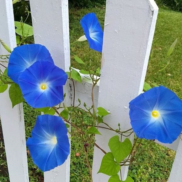 Meet your Posher, Megan - Picture 1 of 1